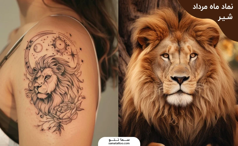 تاتو مرداد و تتو شیر