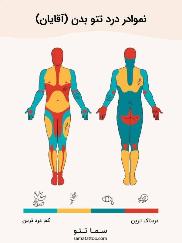 نمودار درد تتو بدن آقایان