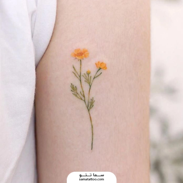 ایده تاتو شهریوری ها