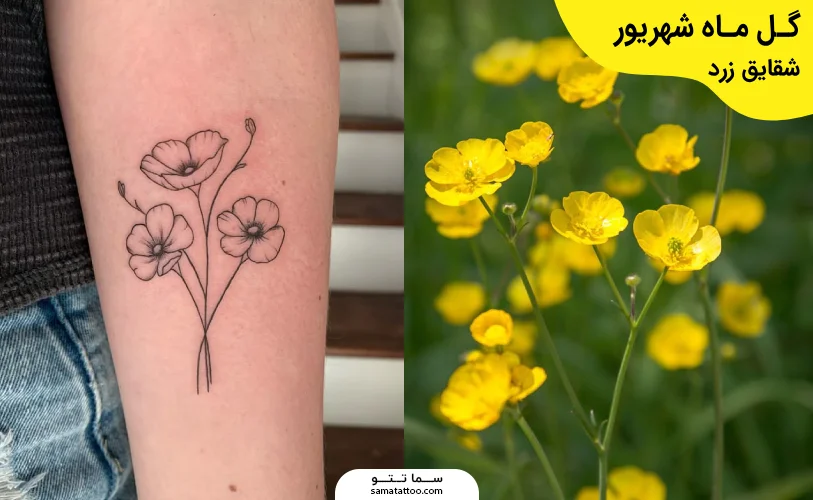 گل ماه شهریور