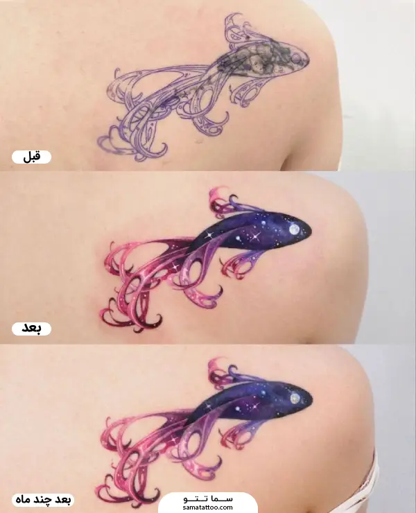 کاور تاتو قدیمی با طرح ماهی