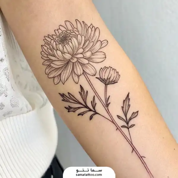 تاتو گل داوودی